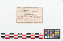 Etikett zu Bronzebrillenfibel (NHMW-PRAE-025975)